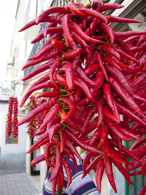 peperone roggianese|Looking for Calabrian Peppers: Diavolicchio di Diamante ...